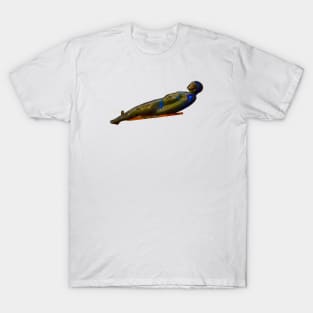 Toboggan Sculpture / Swiss Artwork Photography T-Shirt